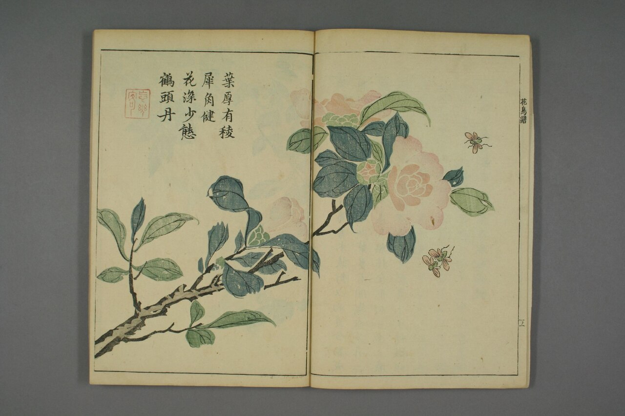 翎毛花卉譜 第61葉