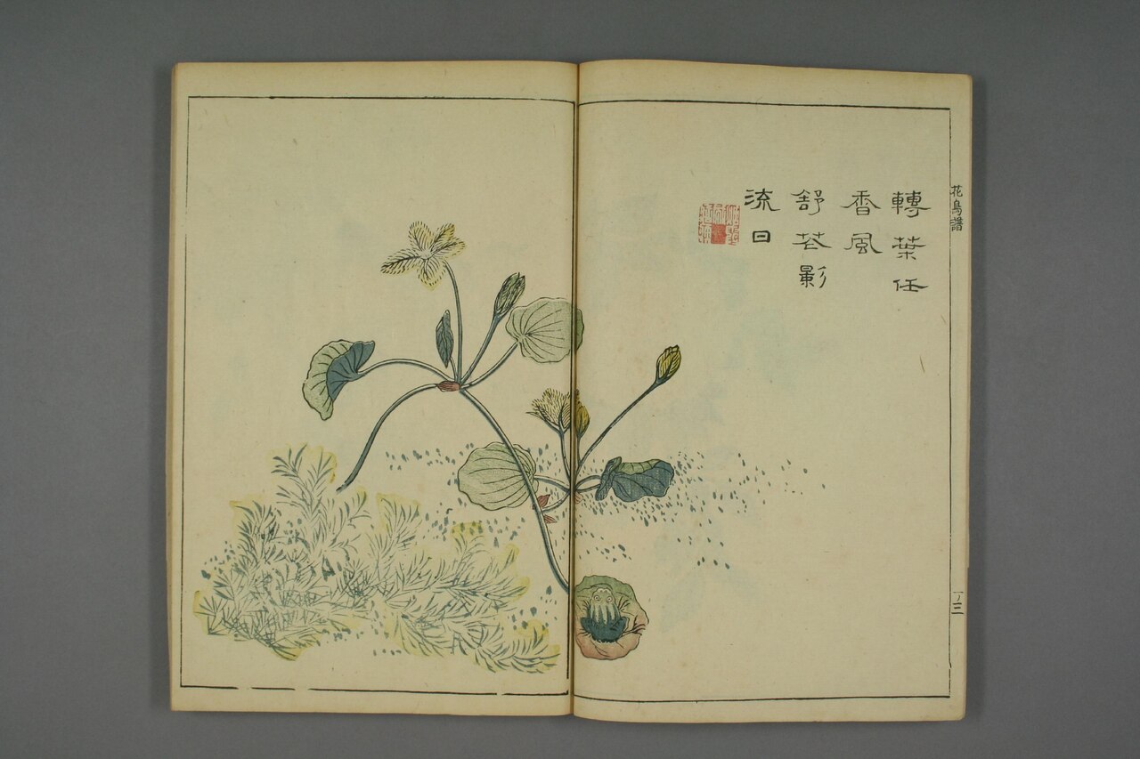 翎毛花卉譜 第63葉