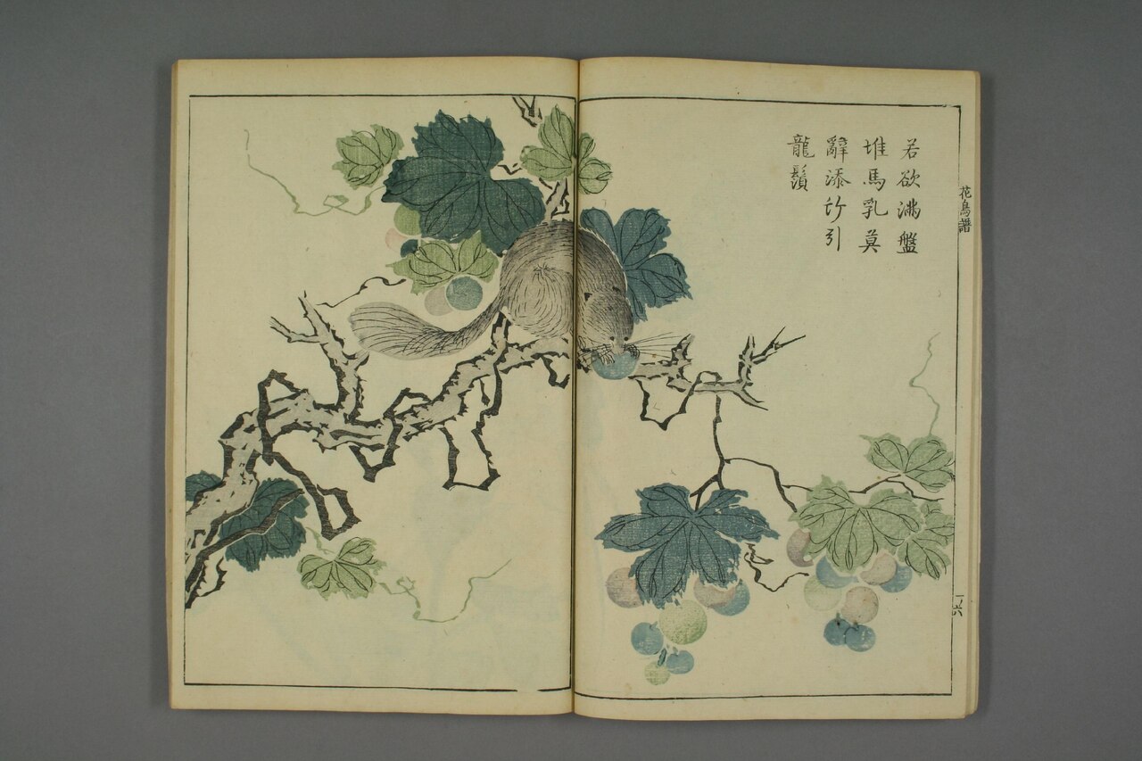 翎毛花卉譜 第66葉