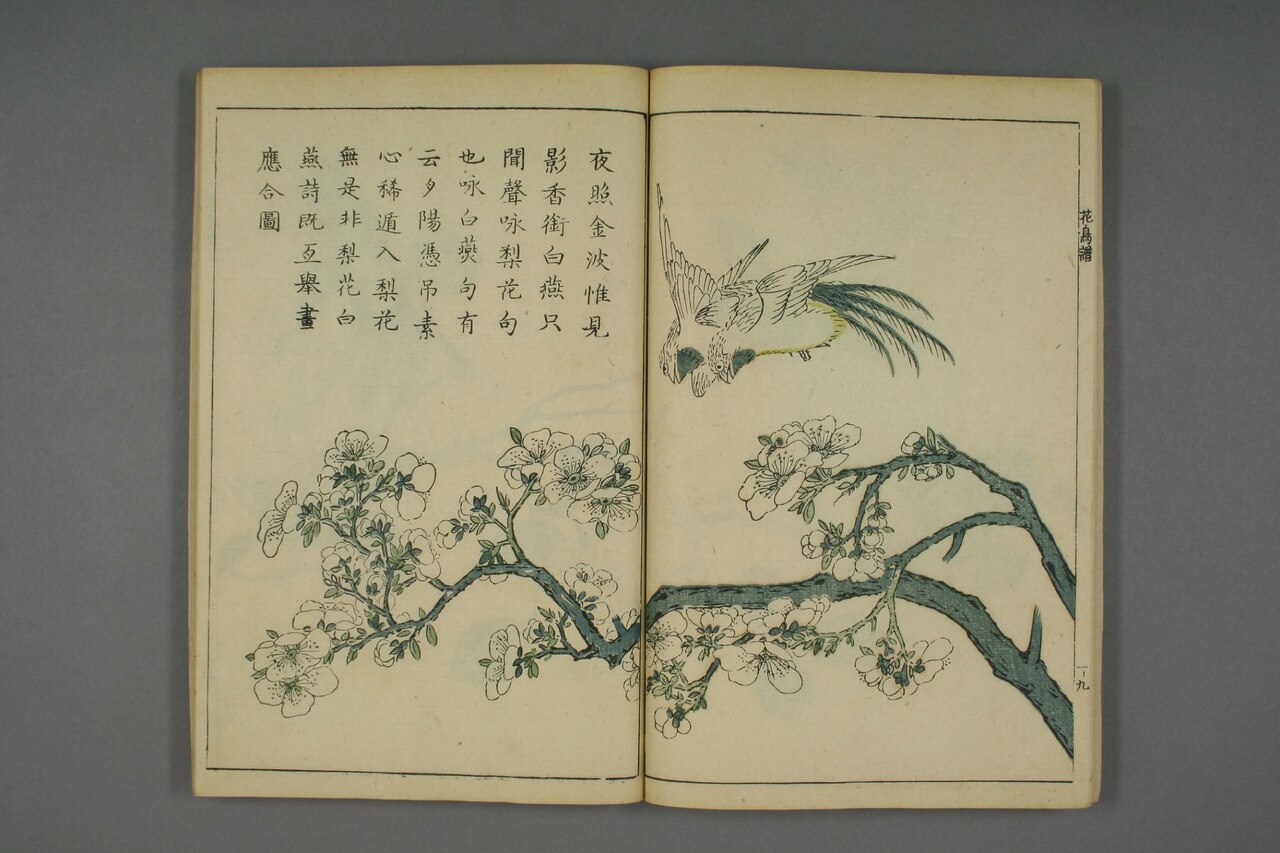 翎毛花卉譜 第69葉