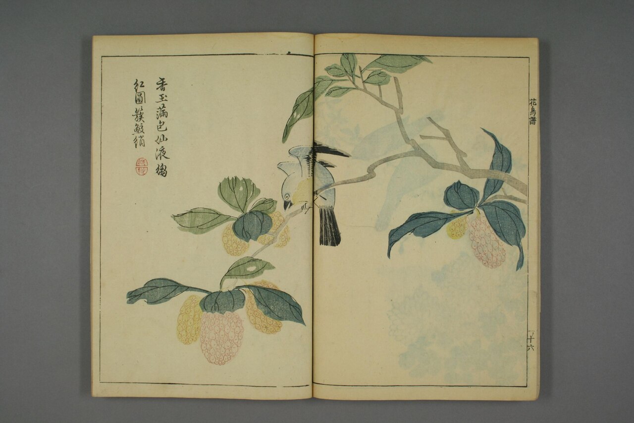 翎毛花卉譜 第76葉