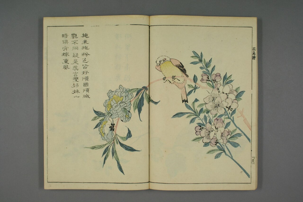 翎毛花卉譜 第81葉