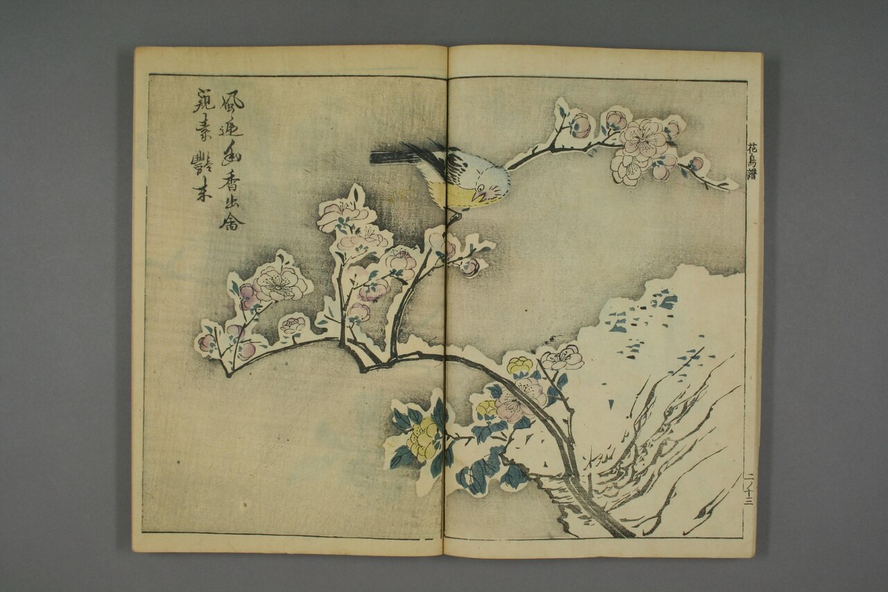 翎毛花卉譜 第101葉