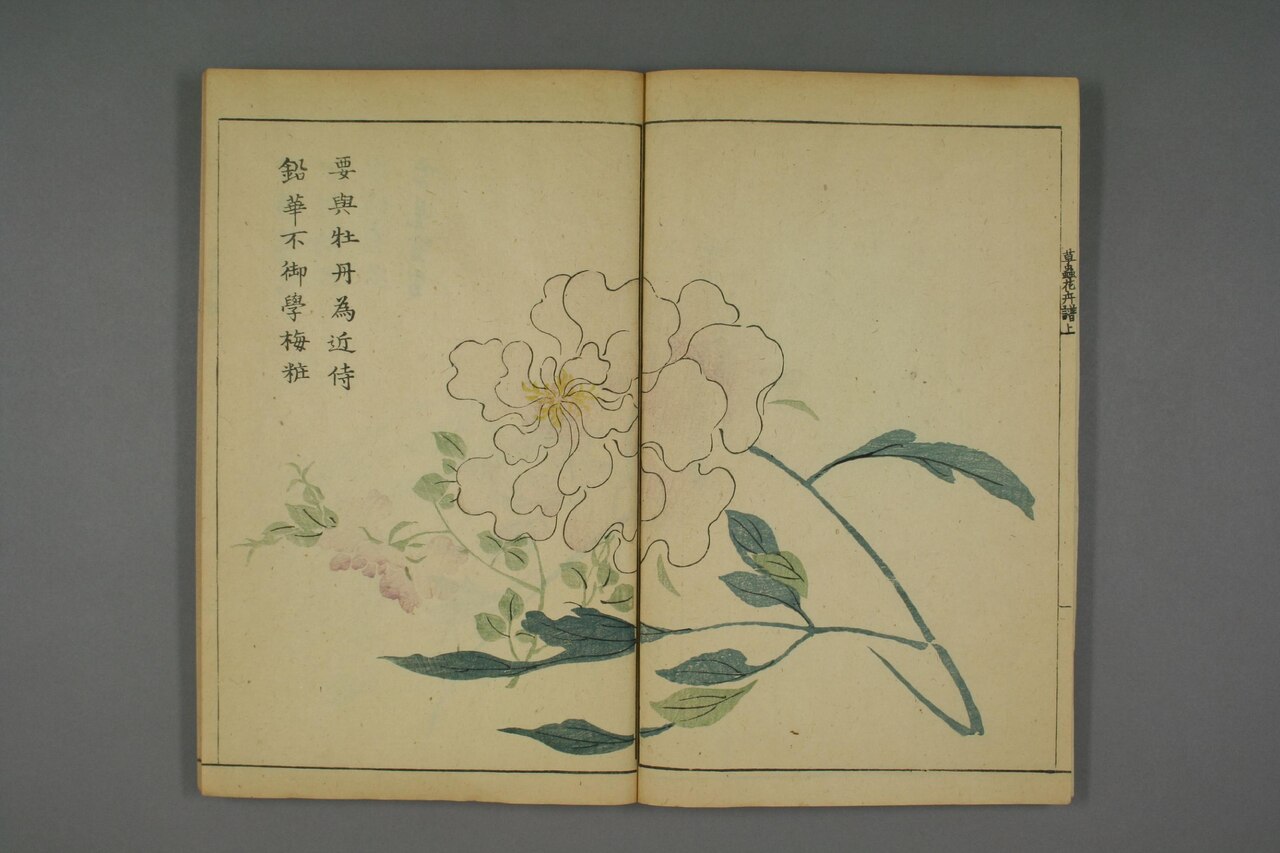 草本花卉草蟲譜 第46葉