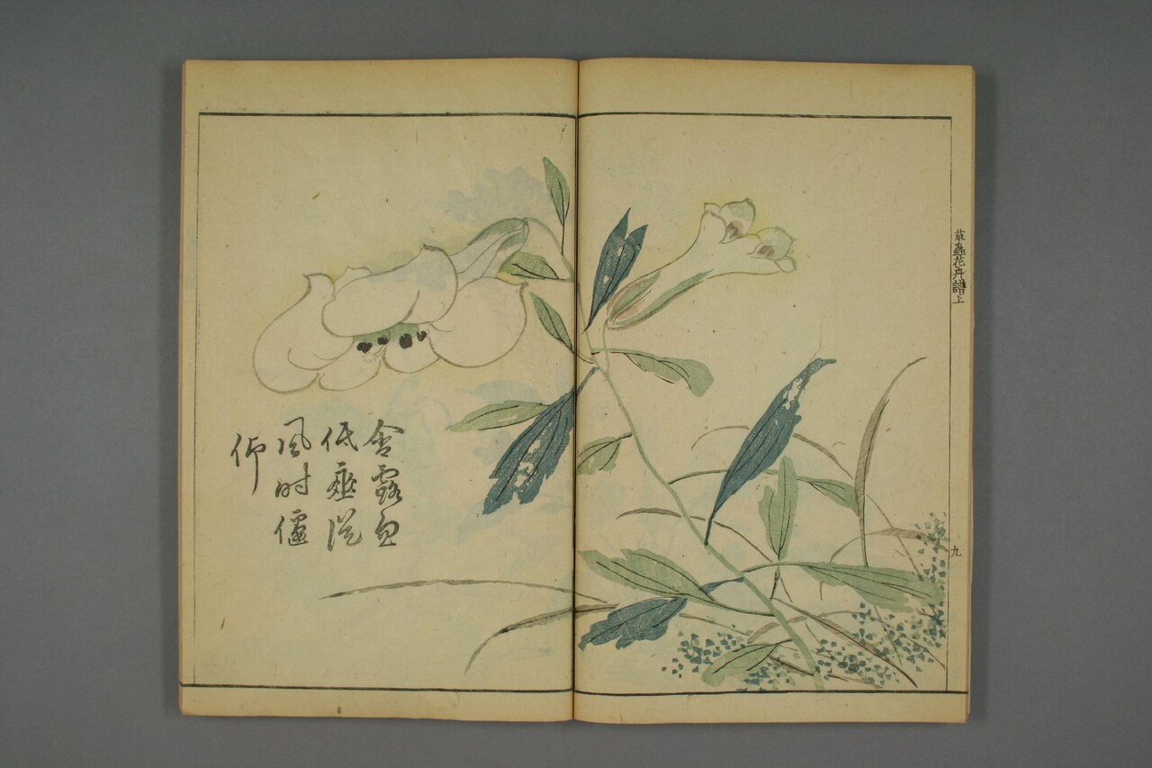 草本花卉草蟲譜 第54葉
