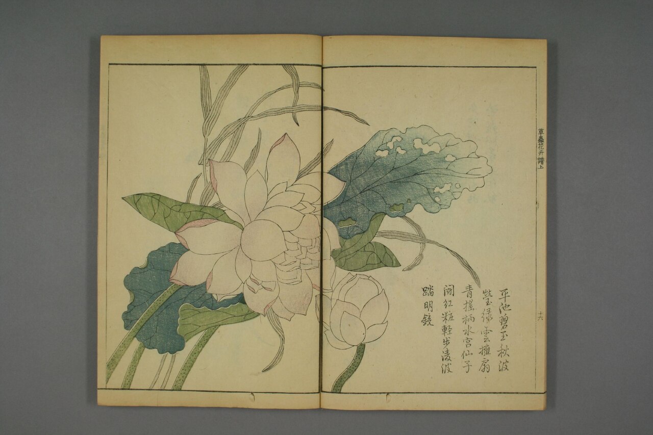 草本花卉草蟲譜 第61葉