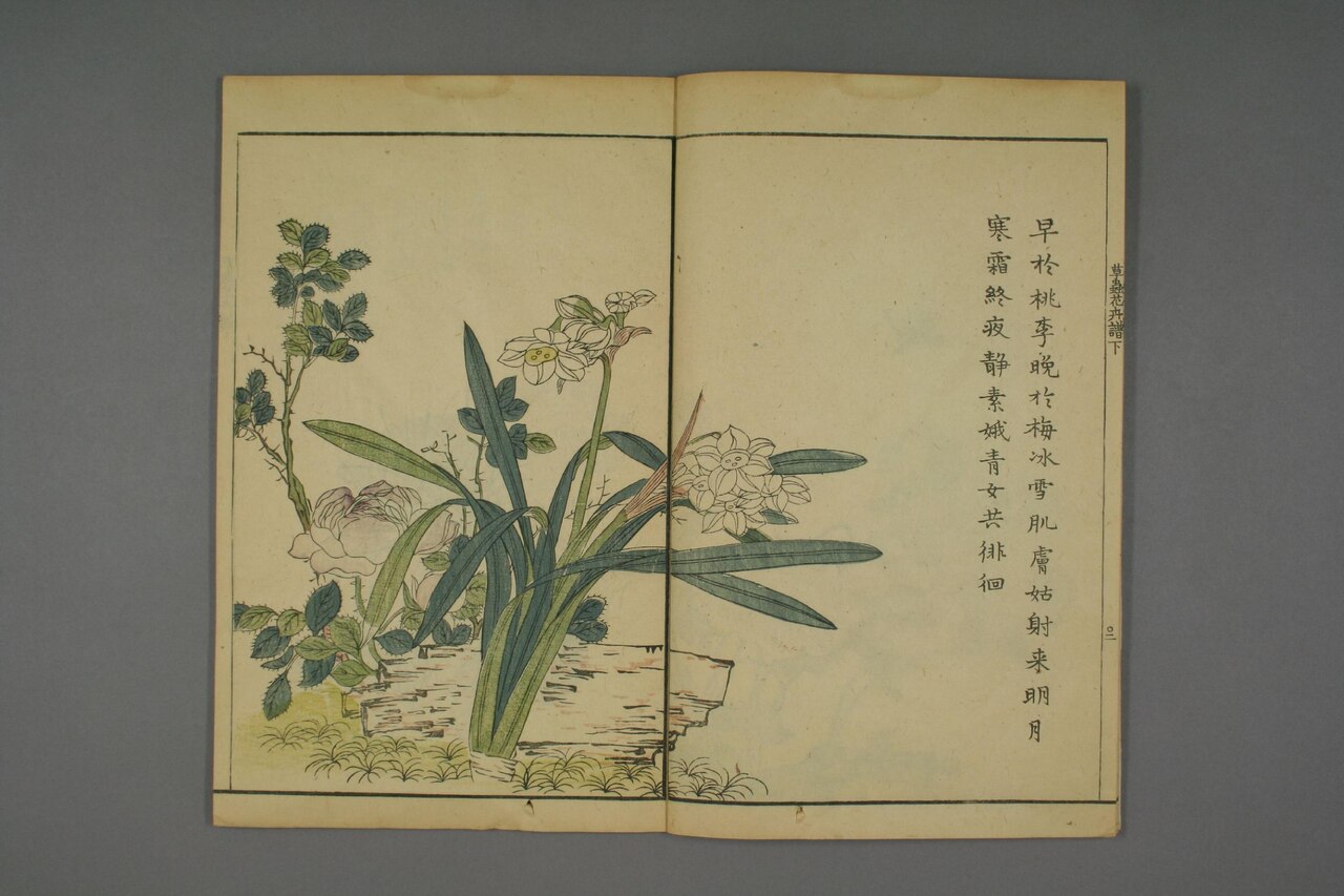 草本花卉草蟲譜 第71葉