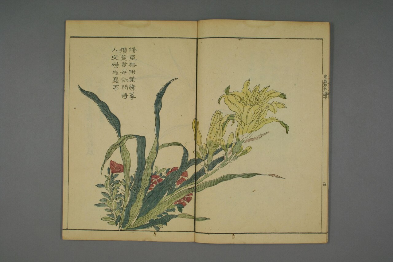草本花卉草蟲譜 第73葉