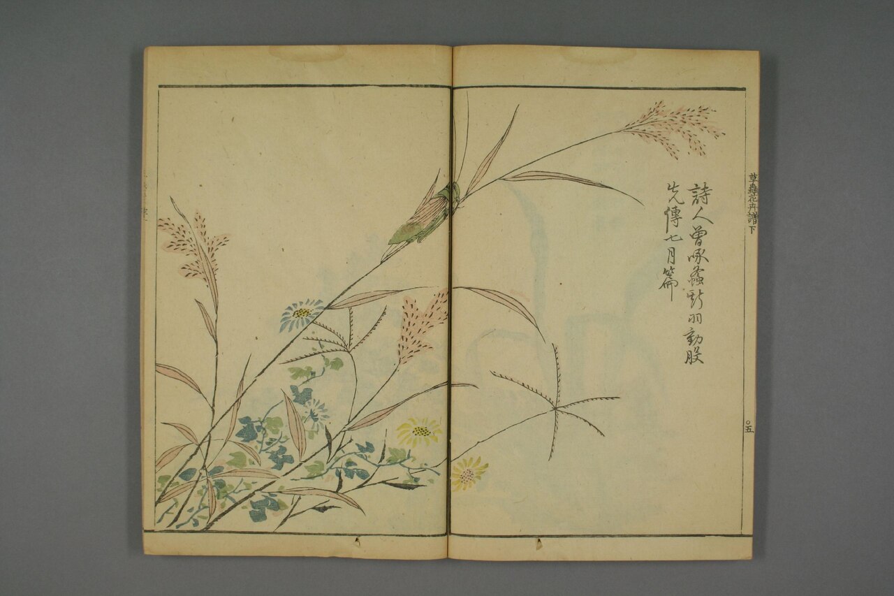 草本花卉草蟲譜 第74葉