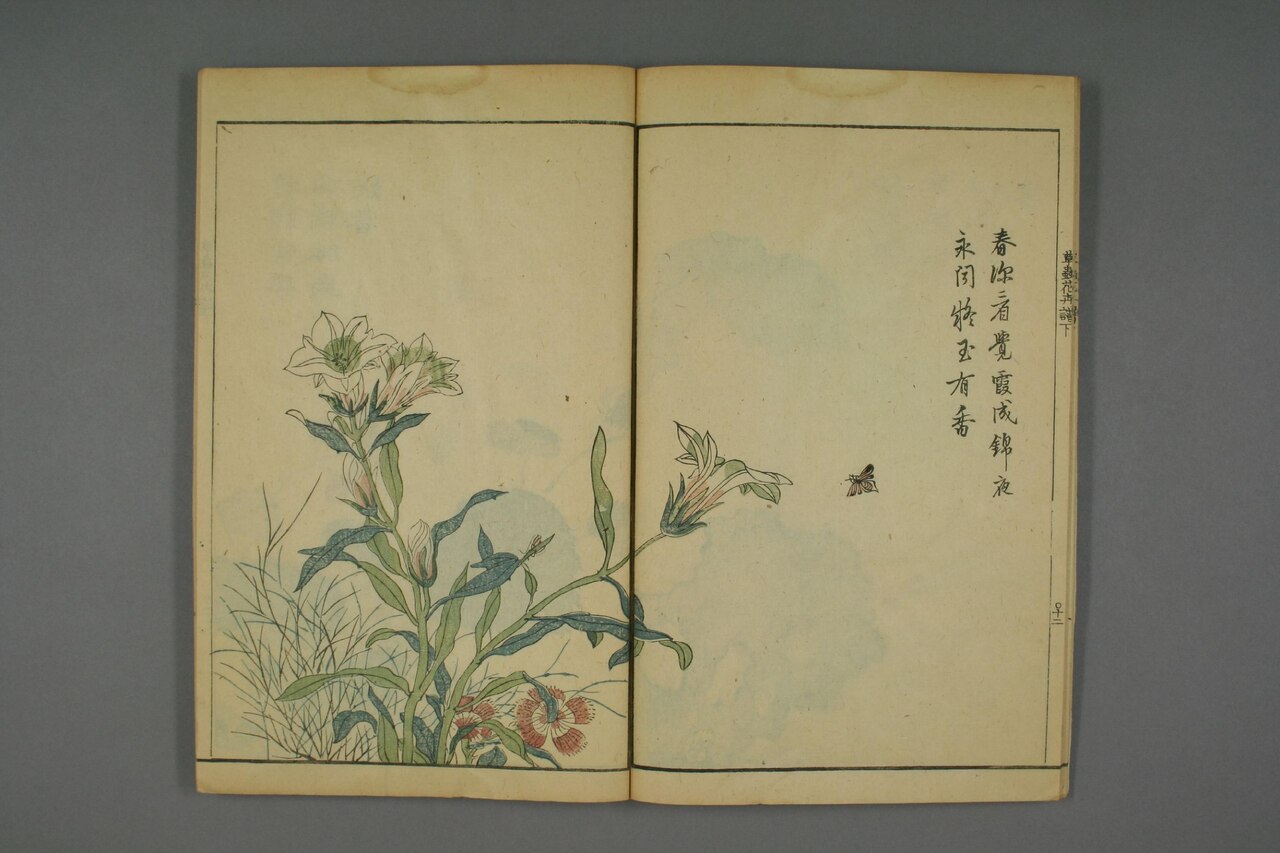 草本花卉草蟲譜 第81葉