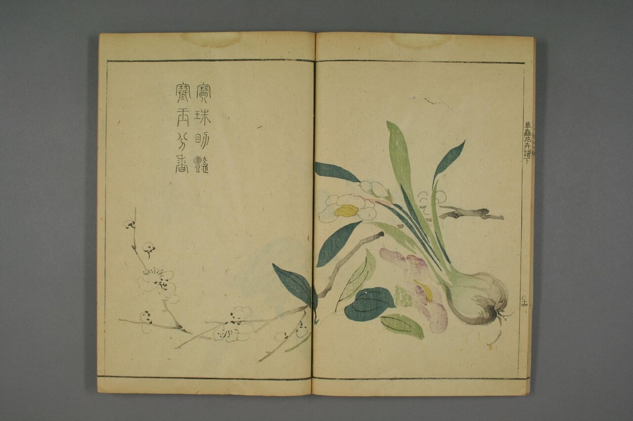 草本花卉草蟲譜 第83葉