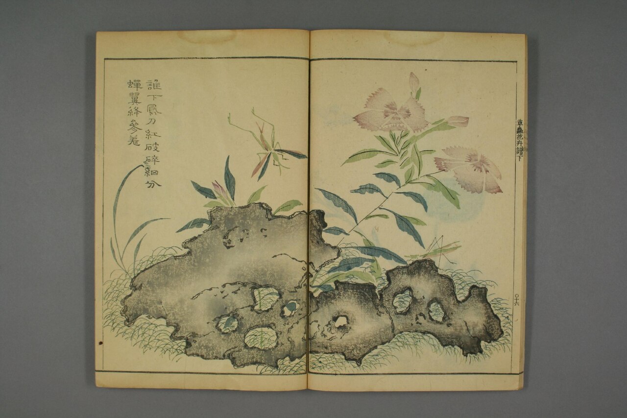 草本花卉草蟲譜 第85葉