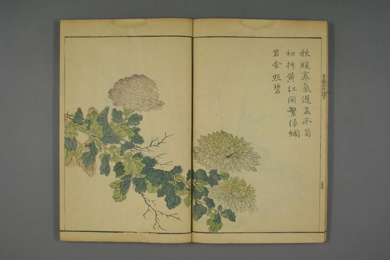 草本花卉草蟲譜 第86葉