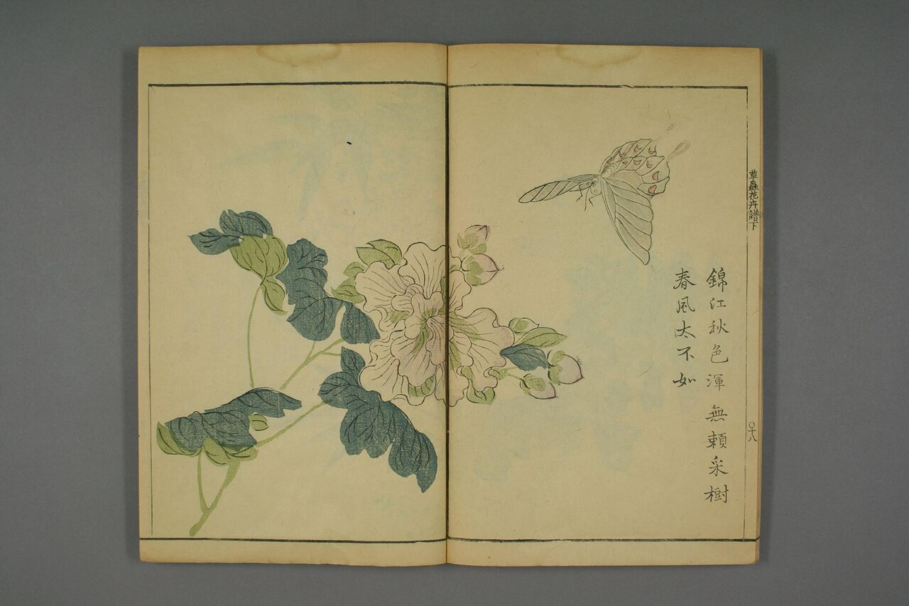 草本花卉草蟲譜 第87葉